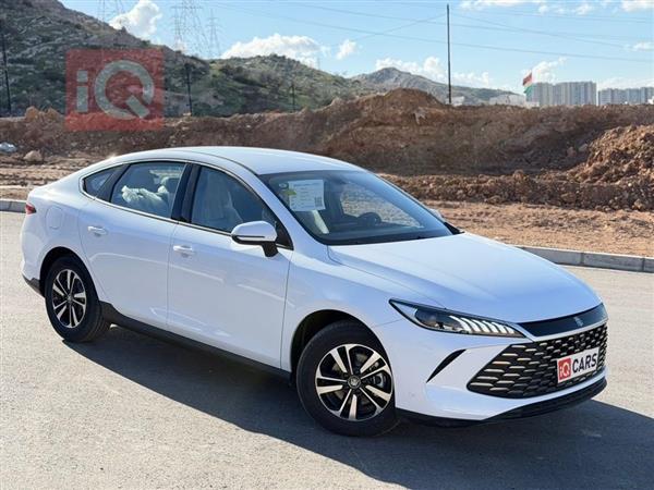 بي واي دي Qin Plus 2025 للبيع في العراق - دهوك